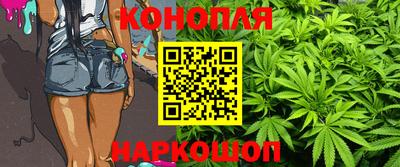 прущие грибы Пушкино