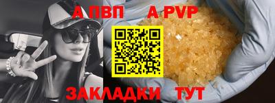 прущие грибы Пушкино